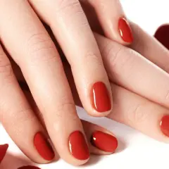 Dłonie z idealnym, czerwonym manicure. Te tytanowe paznokcie lśnią niczym drogocenne kamienie, otoczone płatkami czerwonych róż.