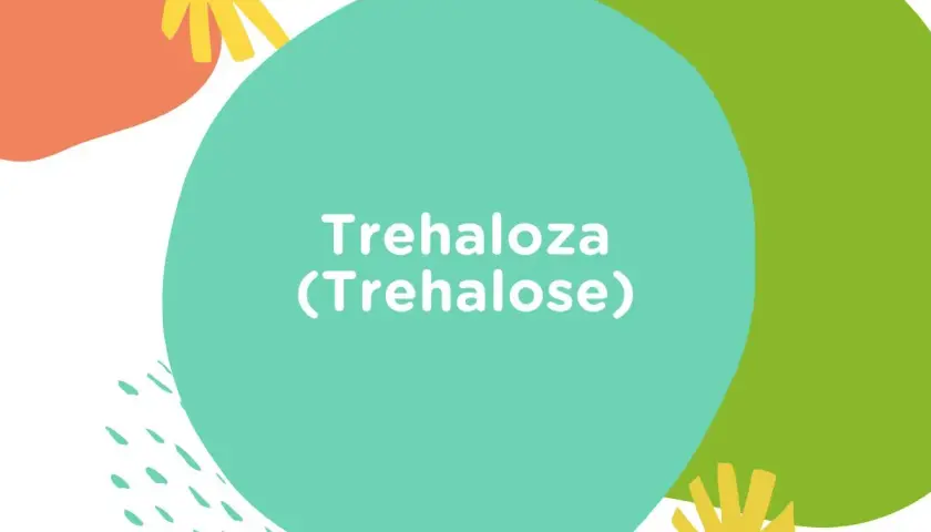 Kolorowe kształty na białym tle. Na turkusowym okręgu widnieje napis "Trehaloza (Trehalose)".